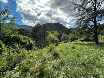 Annonce Vente Terrain Aiglun 06