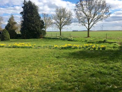 Annonce Vente Terrain Hangest-en-santerre 80