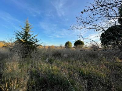 For sale Paulhan Herault (34230) photo 1