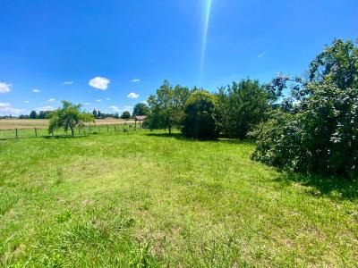 Annonce Vente Terrain Bieujac 33