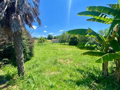 Acheter Terrain Bieujac Gironde