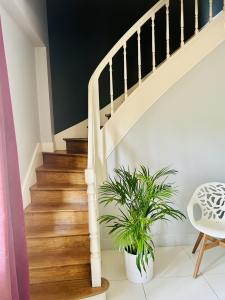 Acheter Maison Membrolle-sur-choisille 745500 euros