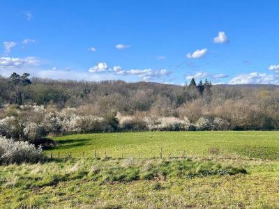 Acheter Terrain Besancon