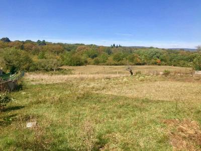 Acheter Terrain Besancon 150000 euros