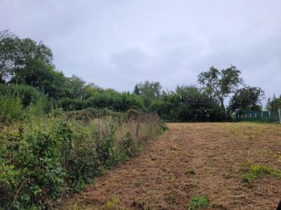 Annonce Vente Maison Celles-sur-durolle 63