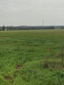 For sale Villedoux 325 m2 Charente maritime (17230) photo 2