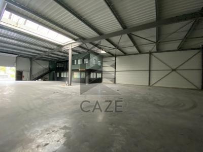 Louer Commerce Canejan 51000 euros