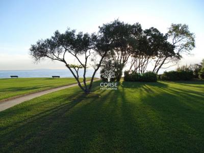 Annonce Vente 4 pices Maison Cervione 20