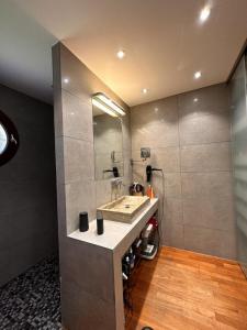 Acheter Maison Chassieu 840000 euros