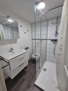 Louer Appartement Colmar 530 euros