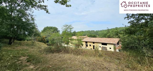 Annonce Vente 8 pices Maison Artigat 09