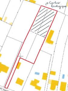 Annonce Vente Terrain  85