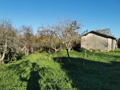 Annonce Vente Terrain Saint-sauveur-de-meilhan 47