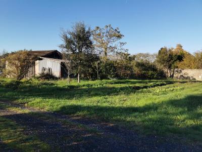 Acheter Terrain Saint-sauveur-de-meilhan 48000 euros