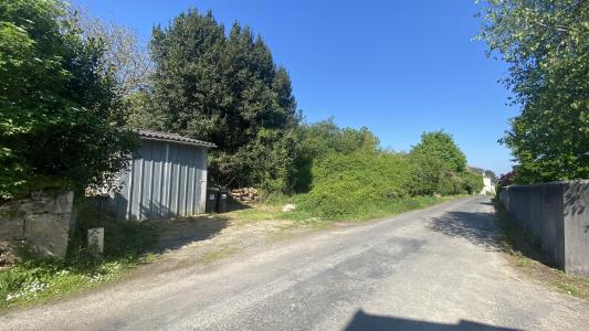 Annonce Vente Terrain Ambillou-chateau 49