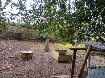 Acheter Terrain Ambillou-chateau 21000 euros
