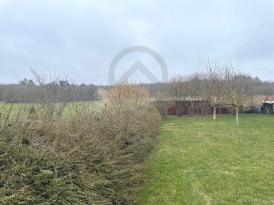 Acheter Terrain Brosses