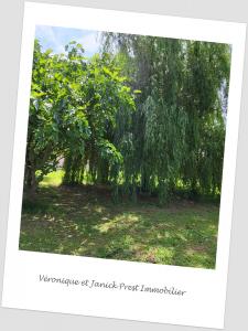Acheter Terrain Sainte-foy-d'aigrefeuille 148000 euros