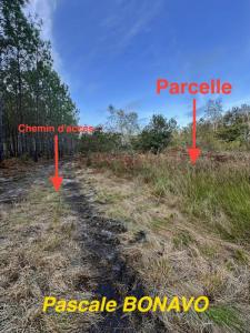 Acheter Terrain 2770 m2 Vendays-montalivet