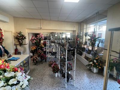 Annonce Vente Immeuble Estissac 10