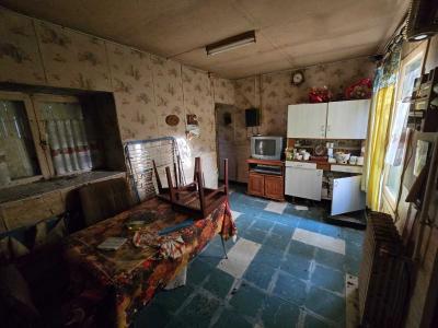 For sale Anche ANCHA 3 rooms 103 m2 Vienne (86700) photo 1