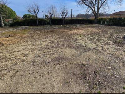 For sale Chabournay SAINT-MARTIN-LA-PALLU Vienne (86380) photo 4
