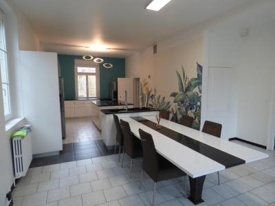 Acheter Maison 270 m2 Areines