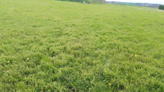 For sale Chouvigny ABREUIL Allier (03450) photo 0