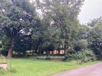 Annonce Vente Terrain Dommartin 01