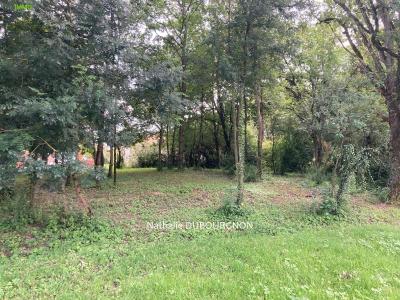 Acheter Terrain 896 m2 Dommartin