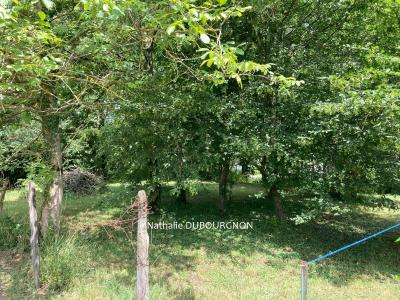 Acheter Terrain Dommartin Ain