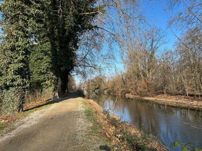 Acheter Terrain Marckolsheim