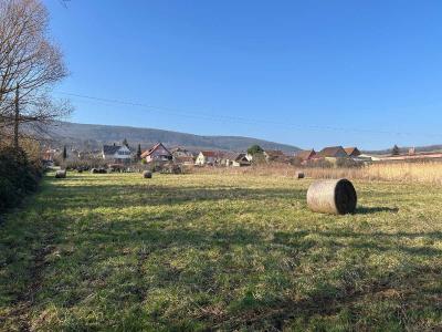 Acheter Terrain Orschwihr Haut rhin