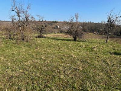 Acheter Terrain Orschwihr 58185 euros
