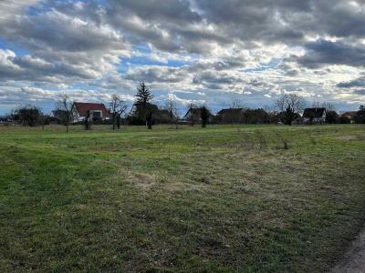 Acheter Terrain Grussenheim