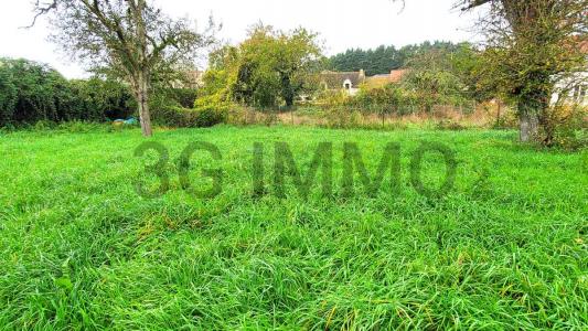 For sale Villeconin 500 m2 Essonne (91580) photo 3