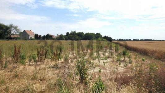 Annonce Vente Terrain Abbeville-la-riviere 91