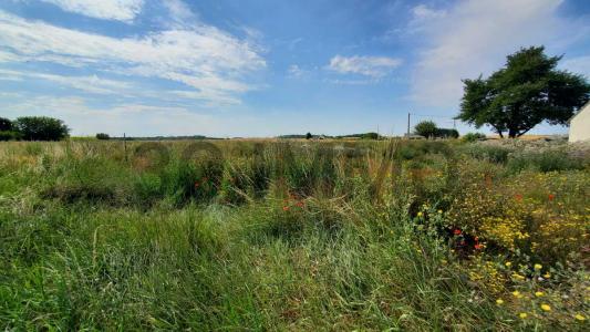Acheter Terrain Abbeville-la-riviere Essonne