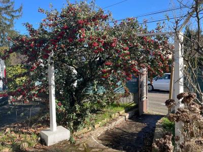 Annonce Vente 6 pices Maison Meyzieu 69