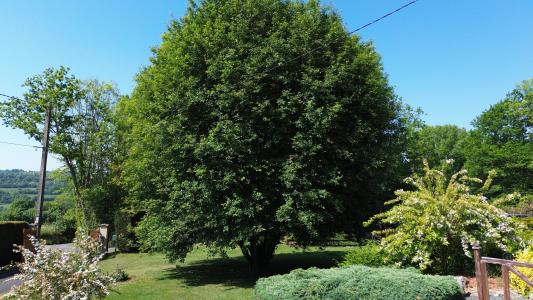 Acheter Maison Mesnil-guillaume 240000 euros
