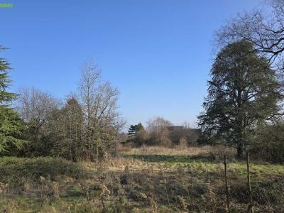 Annonce Vente Terrain Prevessin-moens 01