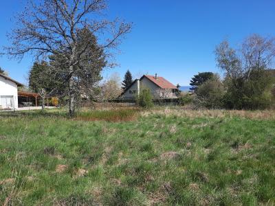 Acheter Terrain Prevessin-moens