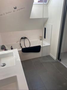 Acheter Maison Saint-berthevin 365000 euros