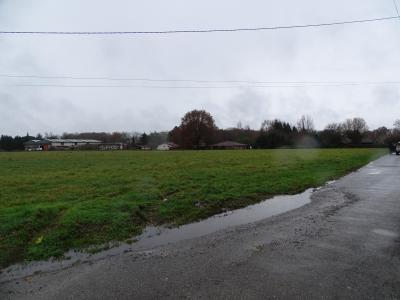 For sale Tartas Landes (40400) photo 0