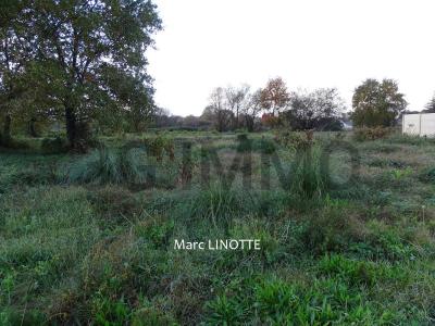 For sale Tartas Landes (40400) photo 1