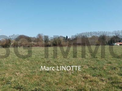 For sale Tartas Landes (40400) photo 0
