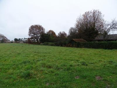 For sale Tartas Landes (40400) photo 1