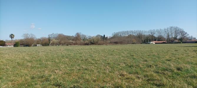 For sale Tartas Landes (40400) photo 2