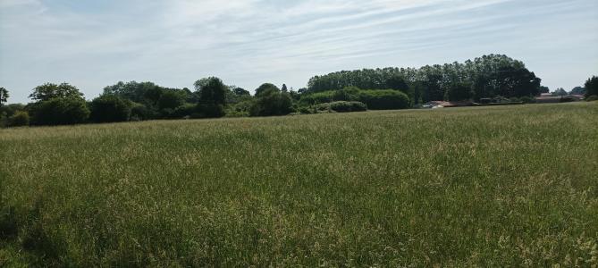 For sale Tartas Landes (40400) photo 3