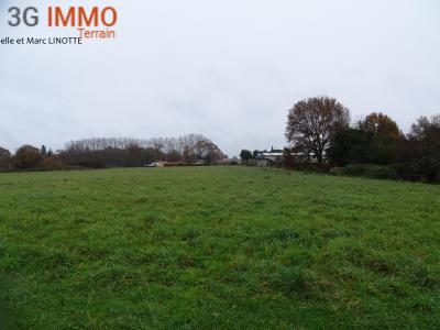 For sale Tartas Landes (40400) photo 0
